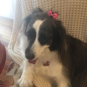 Meet your Posher, Gina